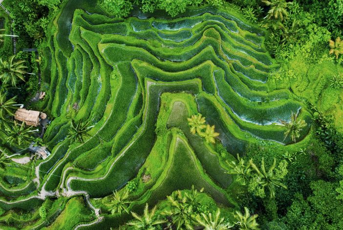 Ubud